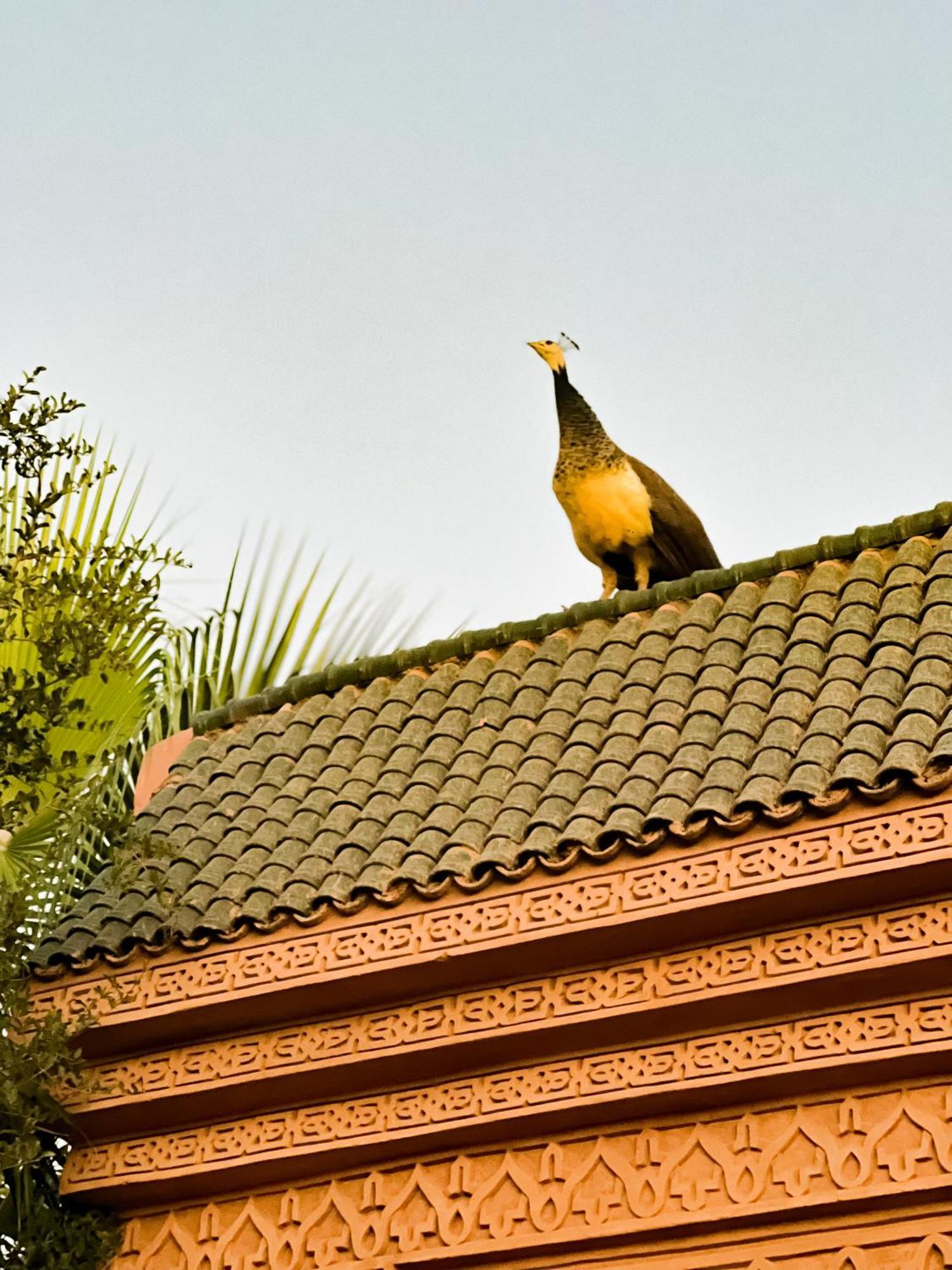 Guest House Qodwa Sidi Abdallah Ghiat 외부 사진